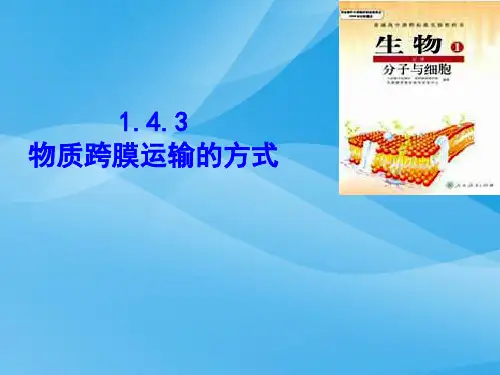 4.3《物质跨膜运输的方式》ppt教学课件生物课件PPT