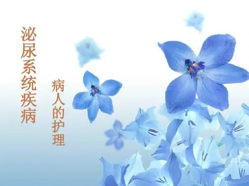泌尿总论