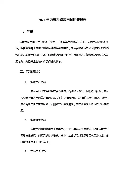 2024年内蒙古能源市场调查报告