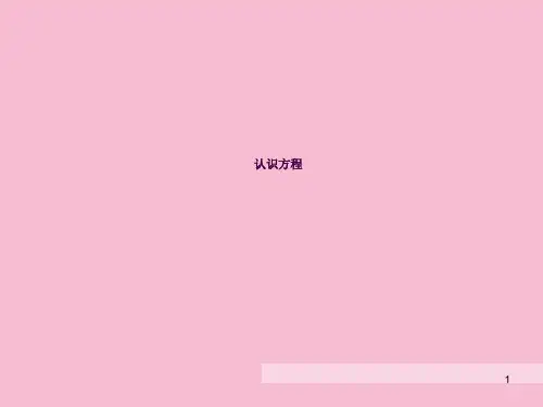 认识方程ppt课件
