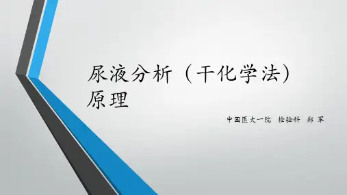 尿液分析检测干化学法
