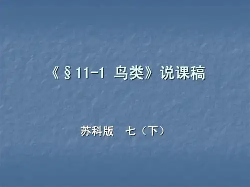 《鸟类》说课稿