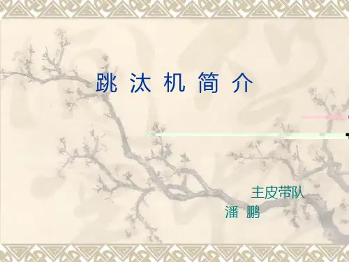 跳汰机简介