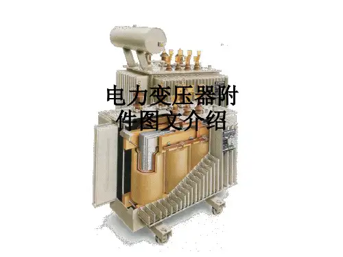 电力变压器附件图文介绍ppt课件
