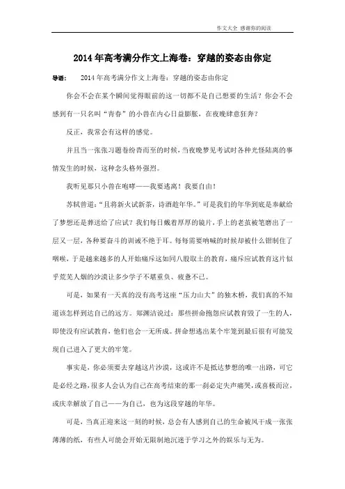 2014年高考满分作文上海卷：穿越的姿态由你定