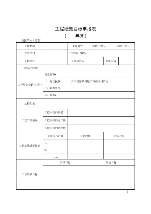 项目绩效目标申报表模板