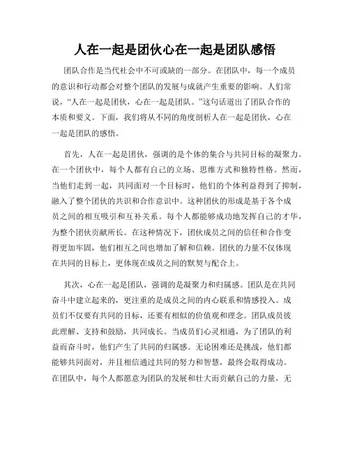 人在一起是团伙心在一起是团队感悟