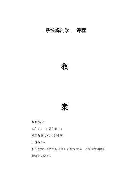 系统解剖学教案--动脉