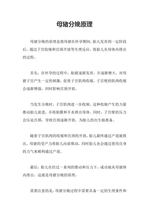母猪分娩原理
