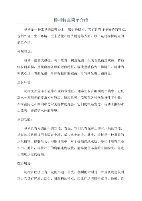 杨树特点简单介绍