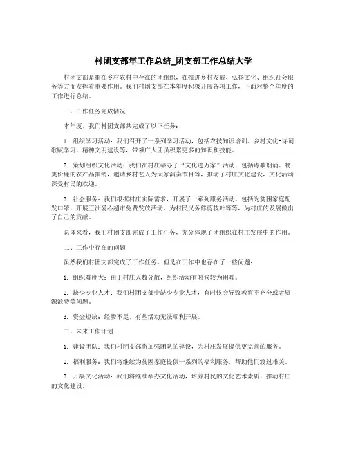 村团支部年工作总结_团支部工作总结大学