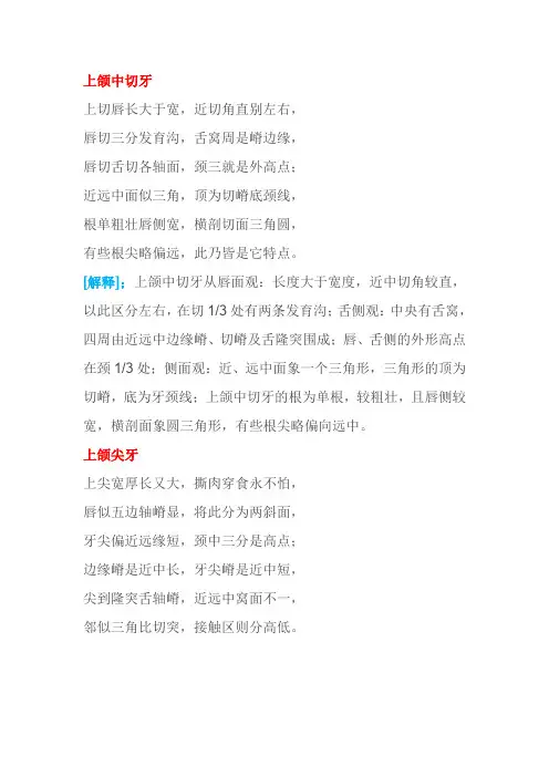 典型牙特点口诀