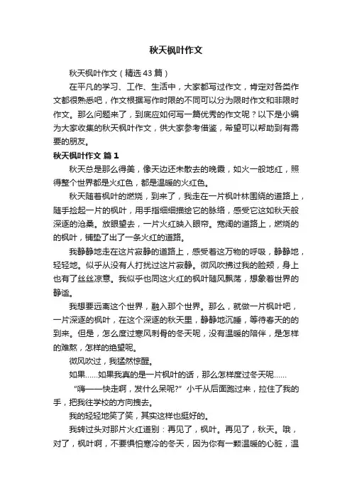 秋天枫叶作文（精选43篇）