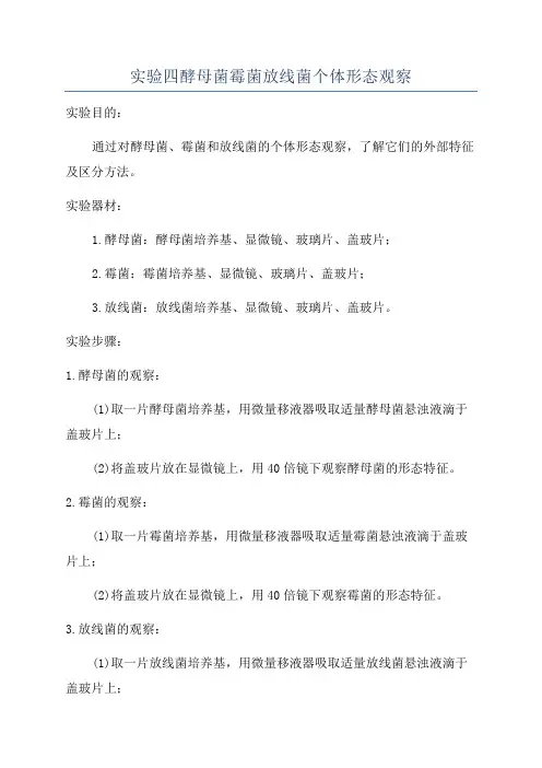 实验四酵母菌霉菌放线菌个体形态观察