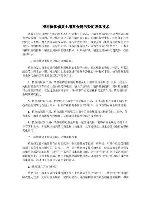 探析植物修复土壤重金属污染的强化技术