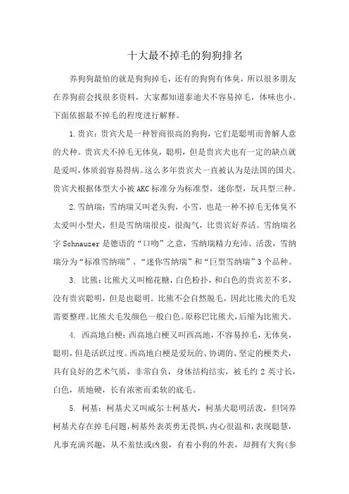 十大最不掉毛的狗狗排名