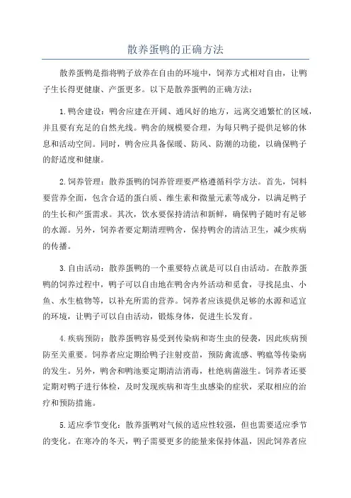 散养蛋鸭的正确方法