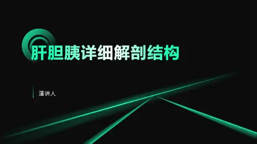肝胆胰详细解剖结构