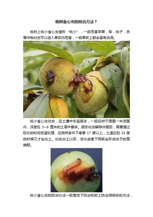 桃树食心虫的防治方法？