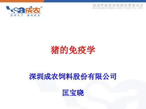 猪的免疫程序