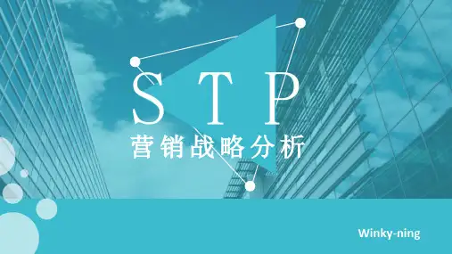 STP战略分析