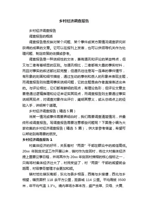 乡村经济调查报告（精选5篇）