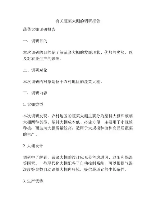 有关蔬菜大棚的调研报告