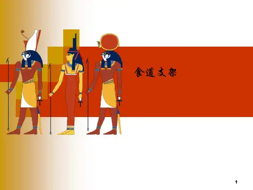食道支架ppt课件
