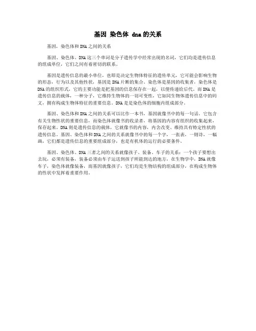 基因 染色体 dna的关系