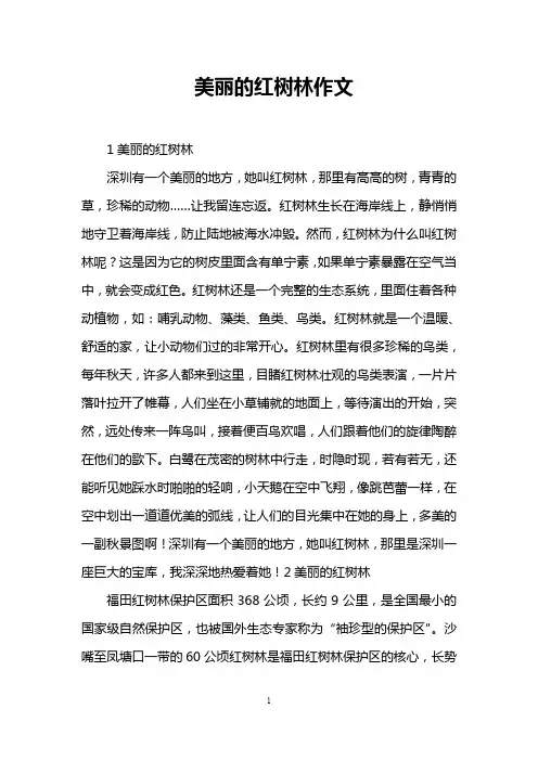 美丽的红树林作文