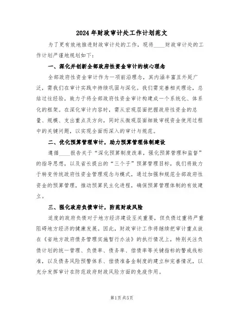 2024年财政审计处工作计划范文（三篇）