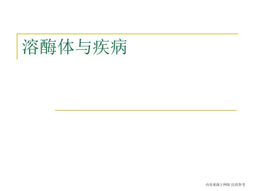 熊梦烨溶酶体与疾病