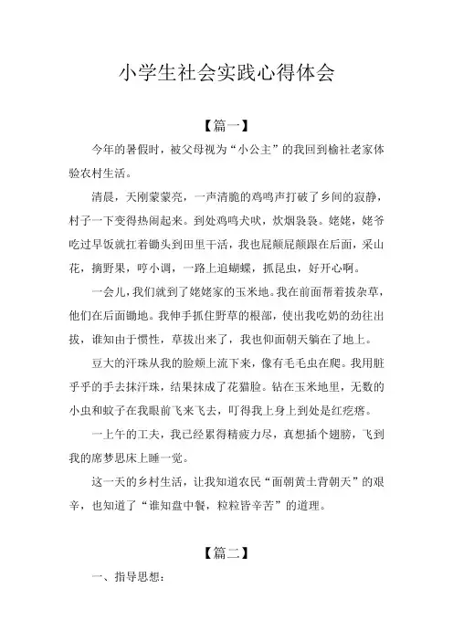 小学生社会实践心得体会