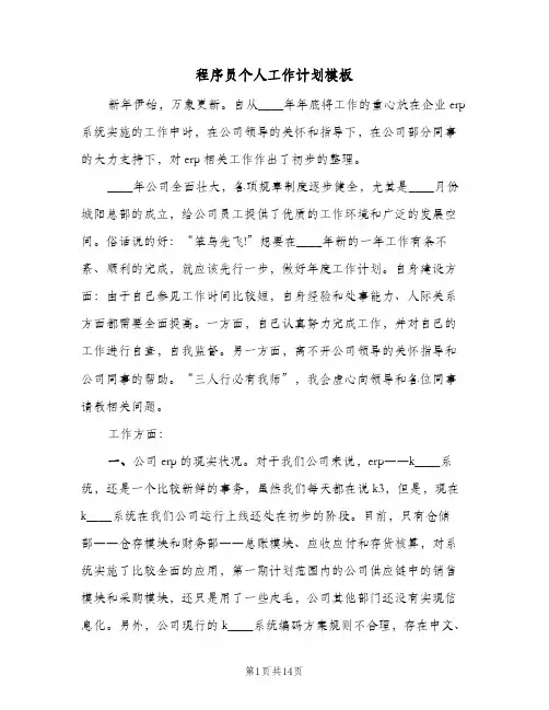 程序员个人工作计划模板(5篇)