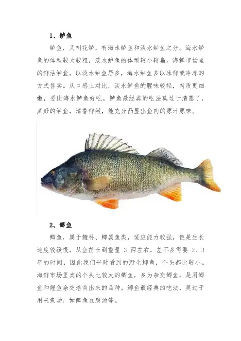 鱼的种类图片和名字
