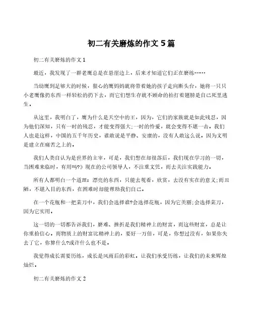 初二有关磨炼的作文5篇