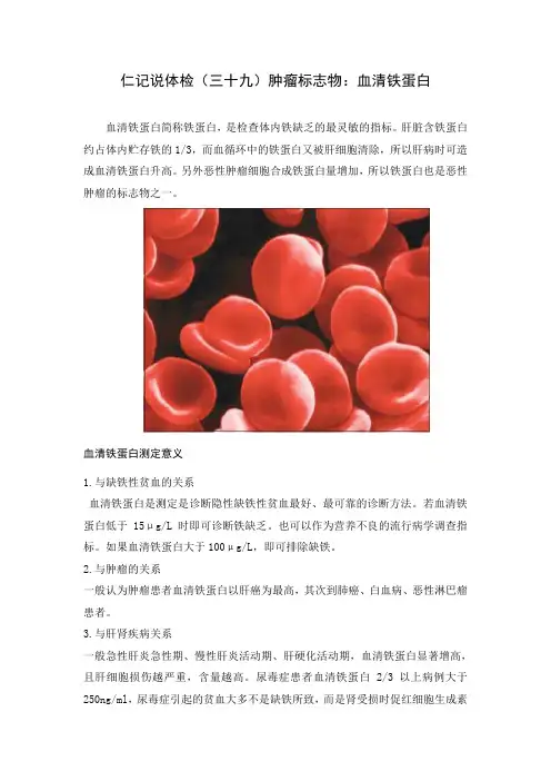 血清铁蛋白