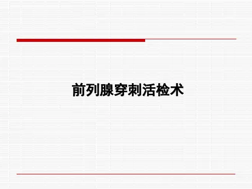 前列腺穿刺技术