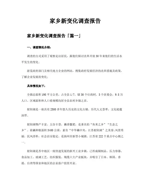 家乡新变化调查报告