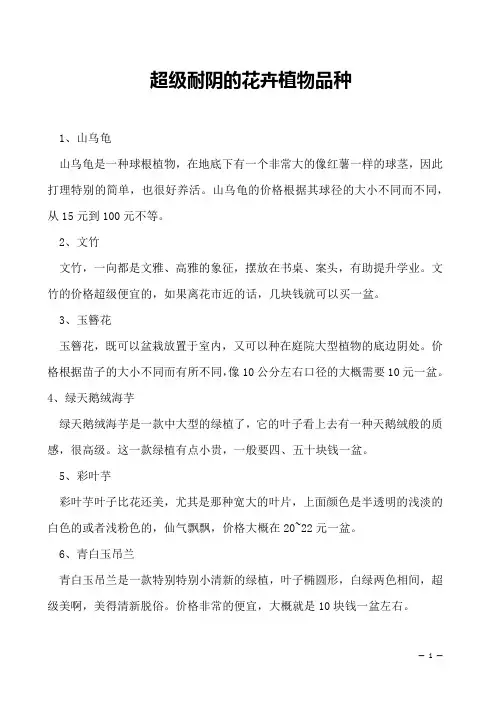 超级耐阴的花卉植物品种