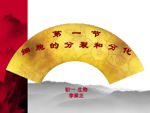 细胞分裂与分化