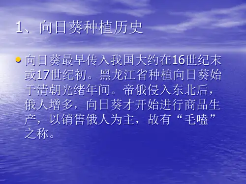 精选我市向日葵生产现状及高产栽培技术