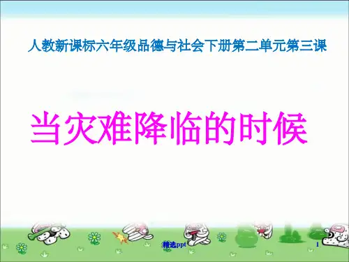 《当灾害降临的时候》PPT课件