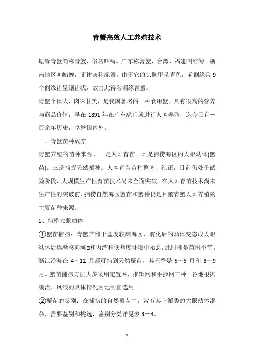 青蟹高效人工养殖技术
