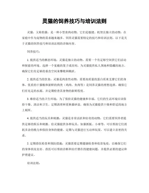 灵猫的饲养技巧与培训法则