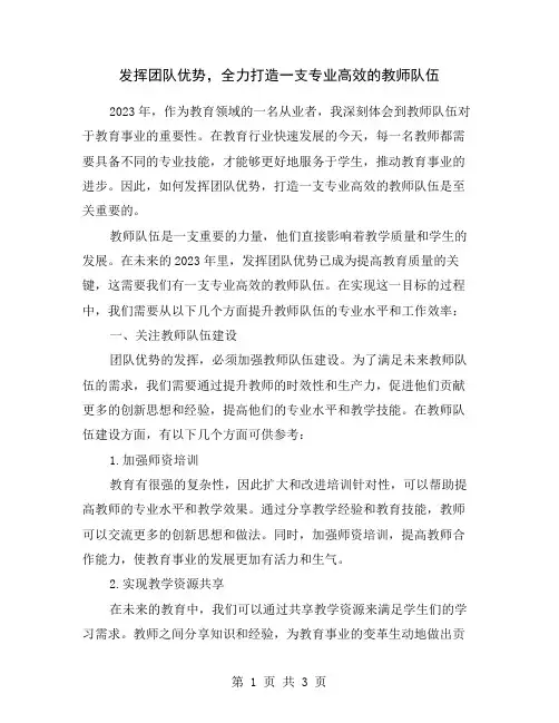 发挥团队优势,全力打造一支专业高效的教师队伍