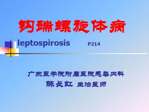 15钩端螺旋体病-2013