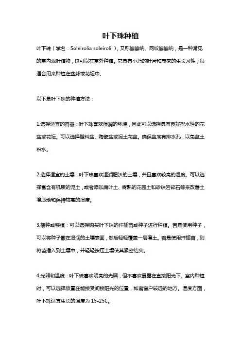 叶下珠种植
