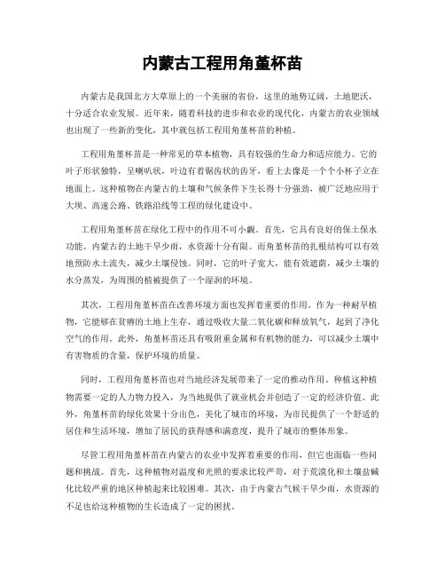 内蒙古工程用角堇杯苗