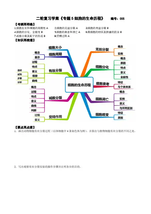 高中生物二轮复习讲义——5专题5细胞的生命历程